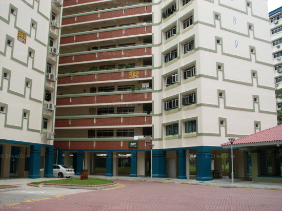 Blk 389 Tampines Street 32 (Tampines), HDB 4 Rooms #114642
